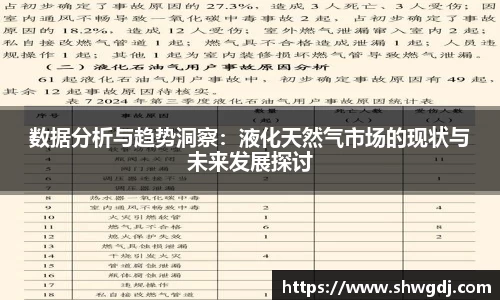 数据分析与趋势洞察：液化天然气市场的现状与未来发展探讨
