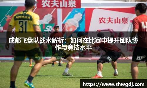 成都飞盘队战术解析：如何在比赛中提升团队协作与竞技水平