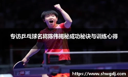 专访乒乓球名将陈伟揭秘成功秘诀与训练心得