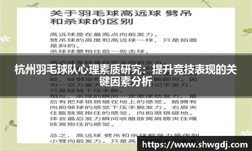 杭州羽毛球队心理素质研究：提升竞技表现的关键因素分析