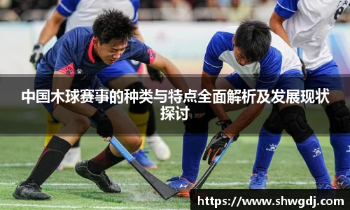 中国木球赛事的种类与特点全面解析及发展现状探讨