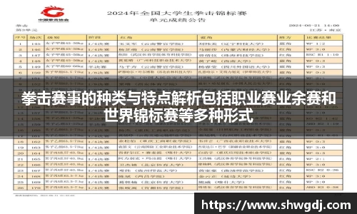 拳击赛事的种类与特点解析包括职业赛业余赛和世界锦标赛等多种形式