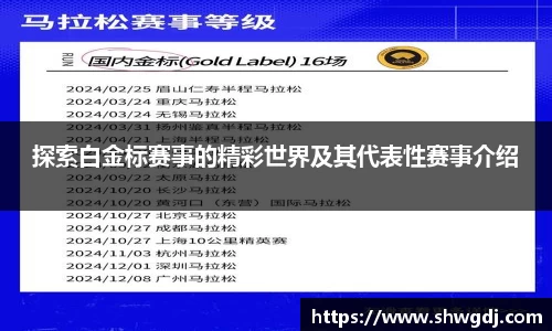 探索白金标赛事的精彩世界及其代表性赛事介绍