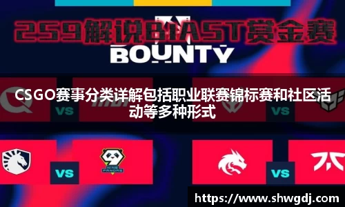 CSGO赛事分类详解包括职业联赛锦标赛和社区活动等多种形式