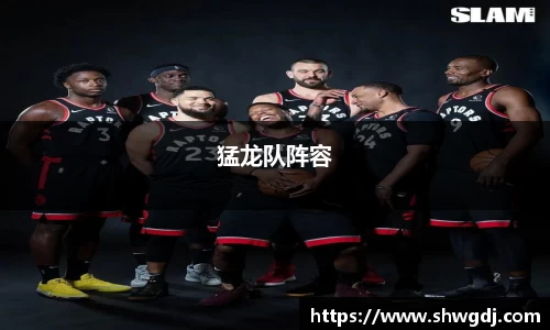 猛龙队阵容