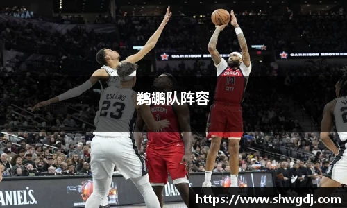 鹈鹕队阵容