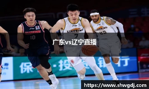 广东vs辽宁直播