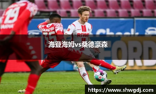 海登海姆vs桑德豪森