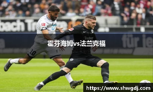 霍芬海姆vs法兰克福