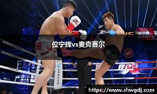 位宁辉vs麦克赛尔