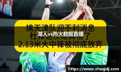 湖人vs热火数据直播
