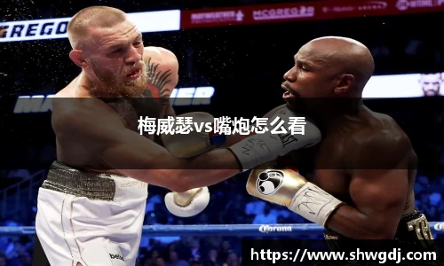 梅威瑟vs嘴炮怎么看