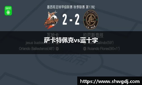 萨卡特佩克vs蓝十字