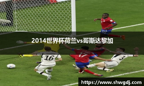 2014世界杯荷兰vs哥斯达黎加