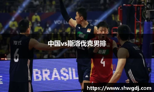 中国vs斯洛伐克男排