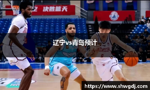 辽宁vs青岛预计