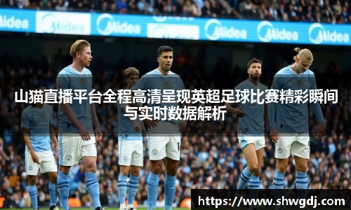 山猫直播平台全程高清呈现英超足球比赛精彩瞬间与实时数据解析