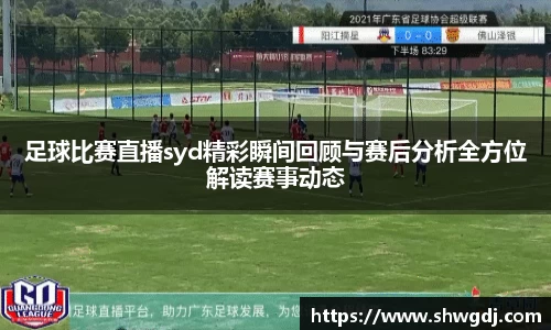 足球比赛直播syd精彩瞬间回顾与赛后分析全方位解读赛事动态