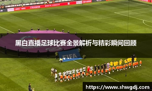 黑白直播足球比赛全景解析与精彩瞬间回顾