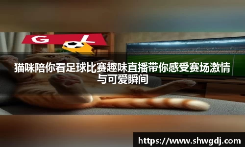 bsports必一运动