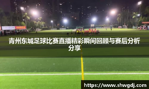 青州东城足球比赛直播精彩瞬间回顾与赛后分析分享