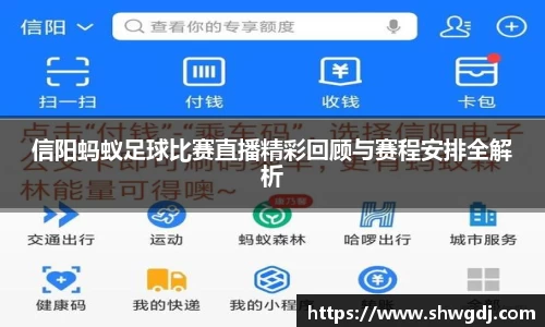 信阳蚂蚁足球比赛直播精彩回顾与赛程安排全解析