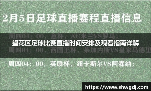 望花区足球比赛直播时间安排及观看指南详解