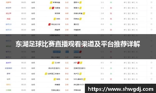 东湖足球比赛直播观看渠道及平台推荐详解