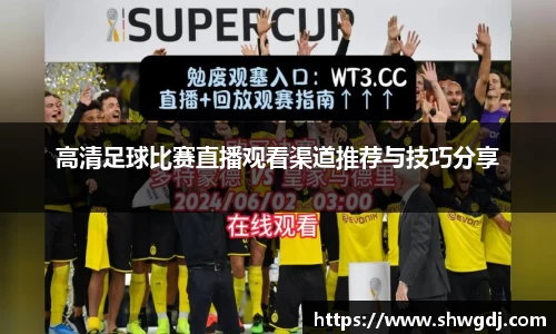 高清足球比赛直播观看渠道推荐与技巧分享