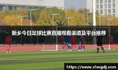 新乡今日足球比赛直播观看渠道及平台推荐