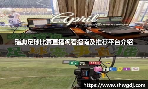 瑞典足球比赛直播观看指南及推荐平台介绍