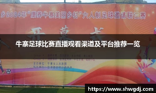牛寨足球比赛直播观看渠道及平台推荐一览