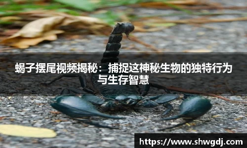 蝎子摆尾视频揭秘：捕捉这神秘生物的独特行为与生存智慧